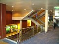 CELEBRITY ECLIPSE 101